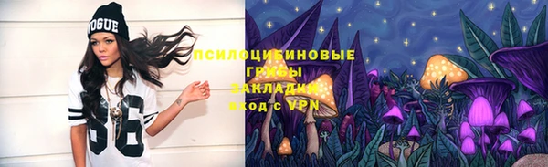 тгк Абинск