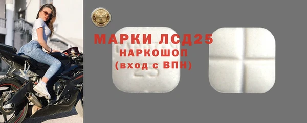 ПСИЛОЦИБИНОВЫЕ ГРИБЫ Алзамай