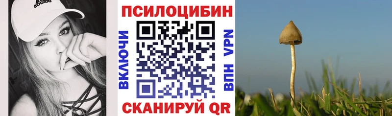 нарко площадка телеграм Тольятти Галлюциногенные грибы Psilocybe
